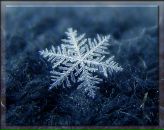 Фотография Кировой Александры