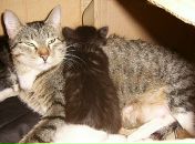 Фотография Шляпиной Марины