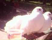 Юрій Загура фотография #2 (источник - https://vk.com/id43665593)