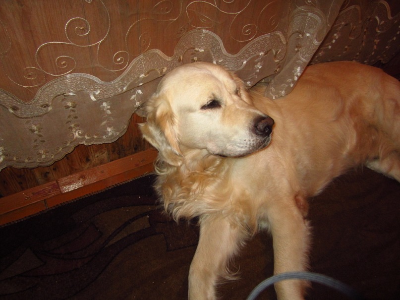 Lidia Lang фотография #26