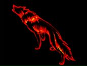 Виктор Томашевич фотография #1