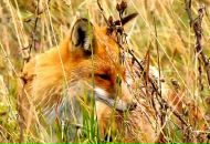 Іван Комарницький фотография #21 (источник - https://vk.com/id14824034)