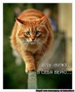 Фотография Баранецкой Оксаны