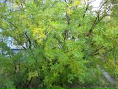 Дмитрий Ель фотография #19 (источник - https://vk.com/id964997)