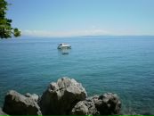 Tasha Dumma фотография #48 (источник - https://vk.com/id6416046)