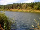 Іванна Шевчик фотография #10 (источник - https://vk.com/id51955511)