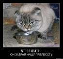 Юрій Лисий фотография #11 (источник - https://vk.com/id50758008)