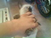 Фотография Галактионова Ильи