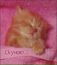 Іванка Боброва фотография #24 (источник - https://vk.com/id70950551)