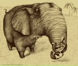 Фотография Туровской Марины