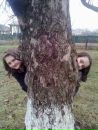 Алінка Адаменко фотография #1