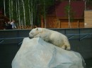 Дмитрий Дорожкин фотография #16 (источник - https://vk.com/id72202409)