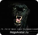 Фотография Павловой Ирины