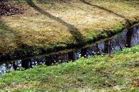 Ирина Бабенко фотография #41 (источник - https://vk.com/id2244513)