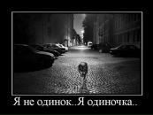 Фотография Даняева Михаила