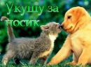 Таня Осіюк фотография #1