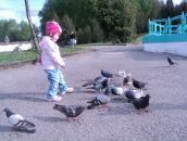 Зоринка Сіра фотография #13 (источник - https://vk.com/id11636850)