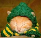 Фотография Андреевой Ксении