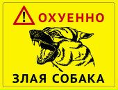 Фотография Долматова Александра