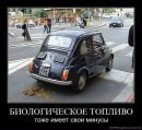 Віталік Скопик фотография #15 (источник - https://vk.com/id27872894)