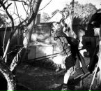 Фотография Миронова Анатолия