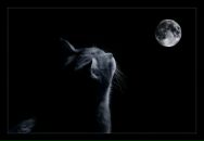 Фотография Сазоновой Татьяны