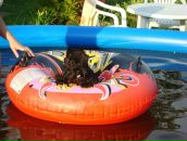 Nataly Raikkonen фотография #42 (источник - https://vk.com/id62653)