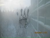 Фотография Лямцевой Екатерины