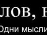 Злюка Кіт фотография #41 (источник - https://vk.com/id152275085)