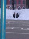 Валерій Сиверін фотография #37 (источник - https://vk.com/id138367417)