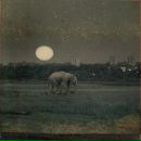 Фотография Грелова Андрея