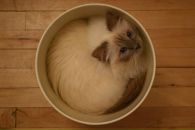 Софья Константиновна фотография #4 (источник - https://vk.com/id40472682)