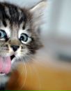 Фотография Мариной Марины