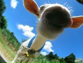 Фотография Карпова Ольга