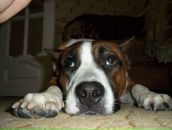 Фотография Приваловой Виктории