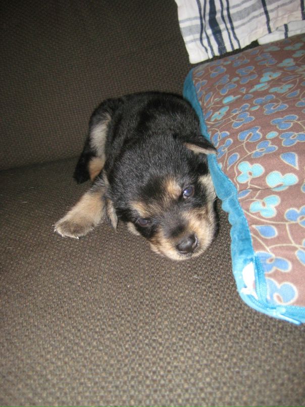 Andrea Bernoth фотография #6