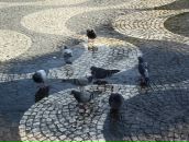 Артём Павеличев фотография #41 (источник - https://vk.com/id72030549)