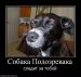  фотография #44