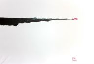 Фотография Лежнева Максима