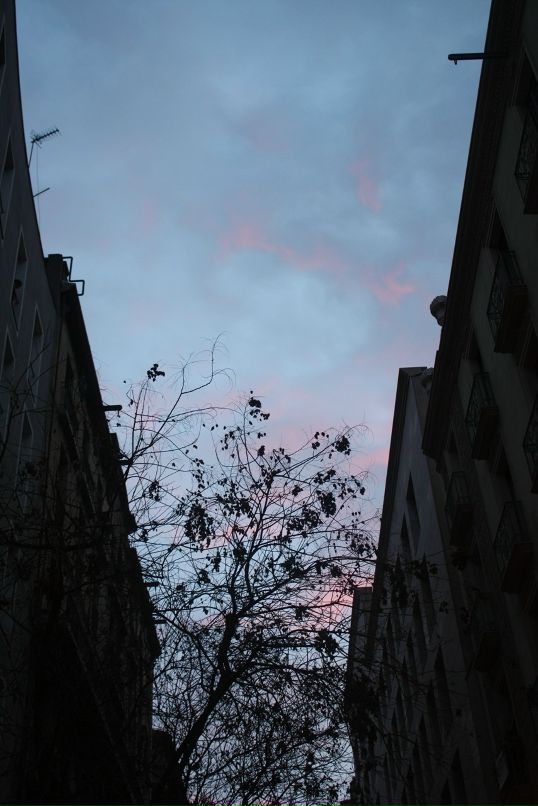 Дина Нечаева фотография #25