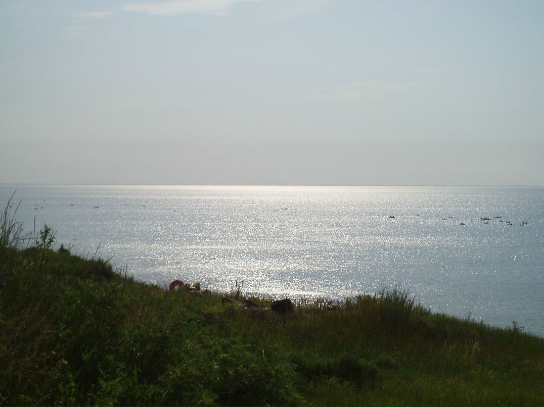 Иван Федотов фотография #11