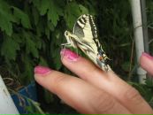 Фотография Гульченко Ирины