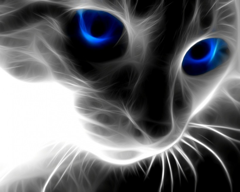 Шамиль Басаев фотография #19