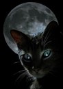 Юля Κолесникова фотография #47 (источник - https://vk.com/id162245525)