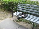 Віта Ольшевська фотография #37 (источник - https://vk.com/id51048627)
