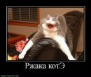 Ігор Левицький фотография #7 (источник - https://vk.com/id112936164)