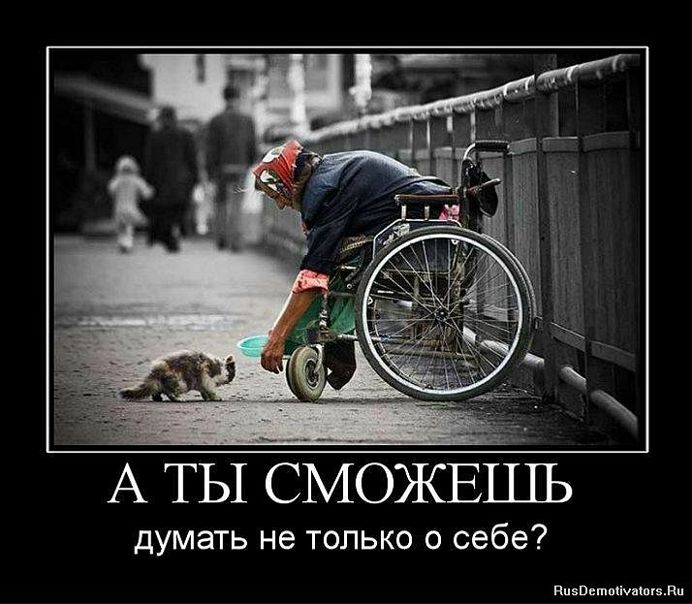 Галина Баркусевич фото №17