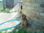 Фотография Федяя Андрея