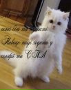 Дана Овсійчук фотография #47 (источник - https://vk.com/id167521845)