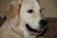 Фотография Гладышевой Анны